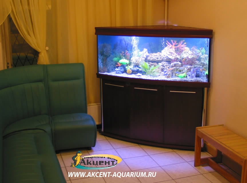 Акцент-аквариум,аквариум угловой 400 литров с гнутым передним стеклом